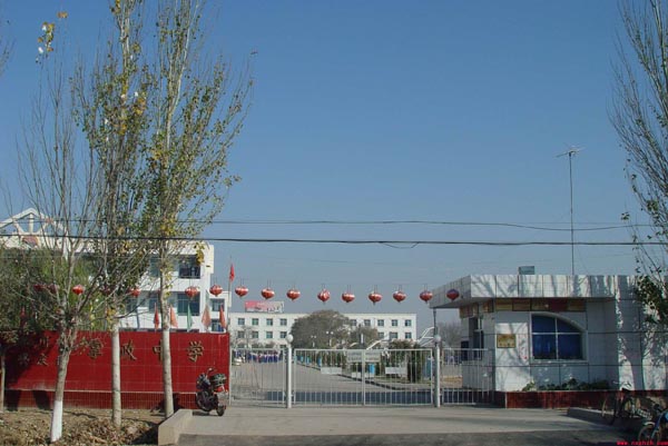  p>掌政中学位于宁夏银川市兴庆区掌政镇东侧,始建于1958年,现在是一