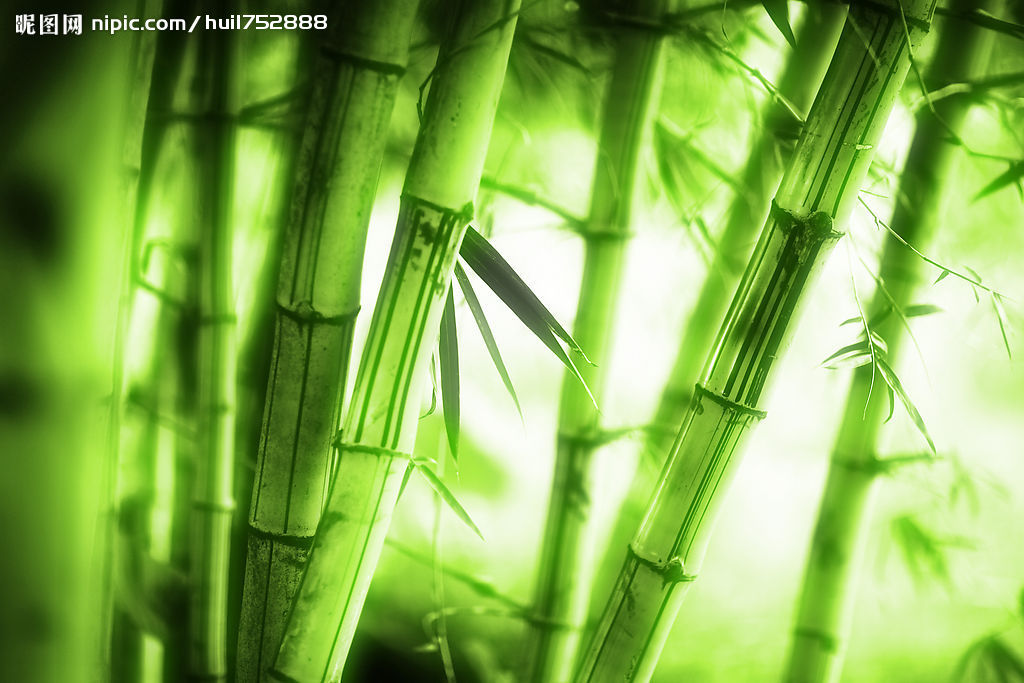  p>竹,又名竹子.品种繁多,有毛竹,麻竹,箭竹等.