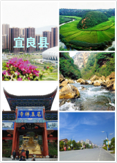 词条图片