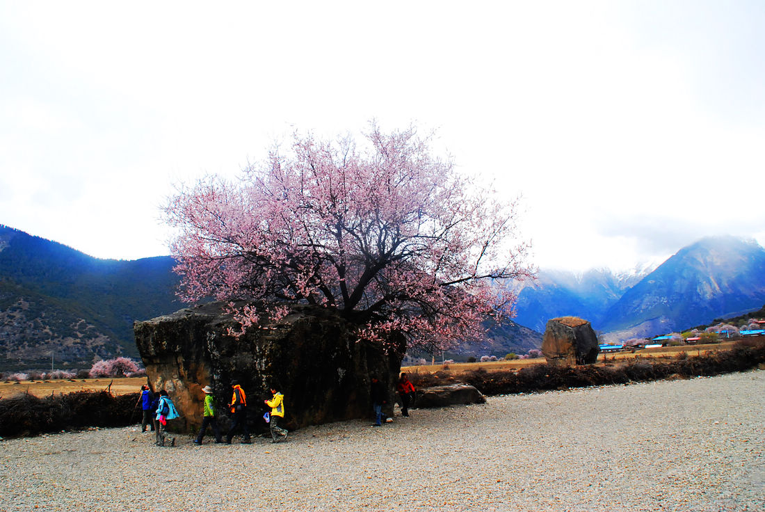 雅鲁藏布大峡谷