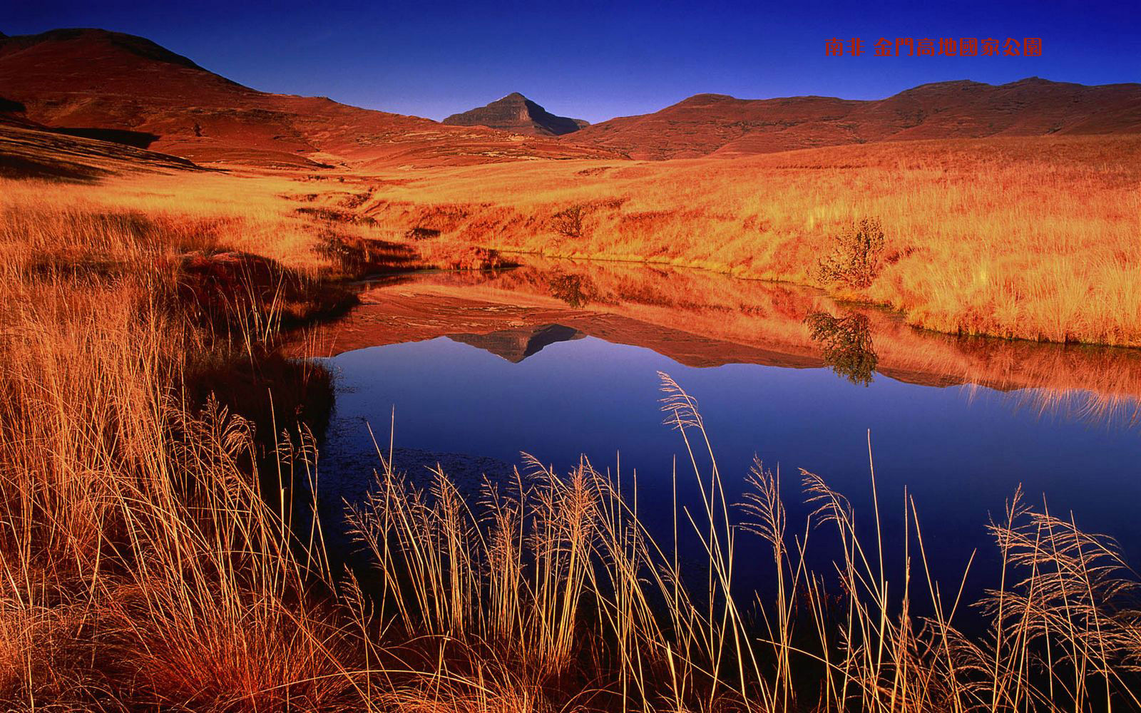  p>金门高地国家公园(golden gate highlands national park)位于 a