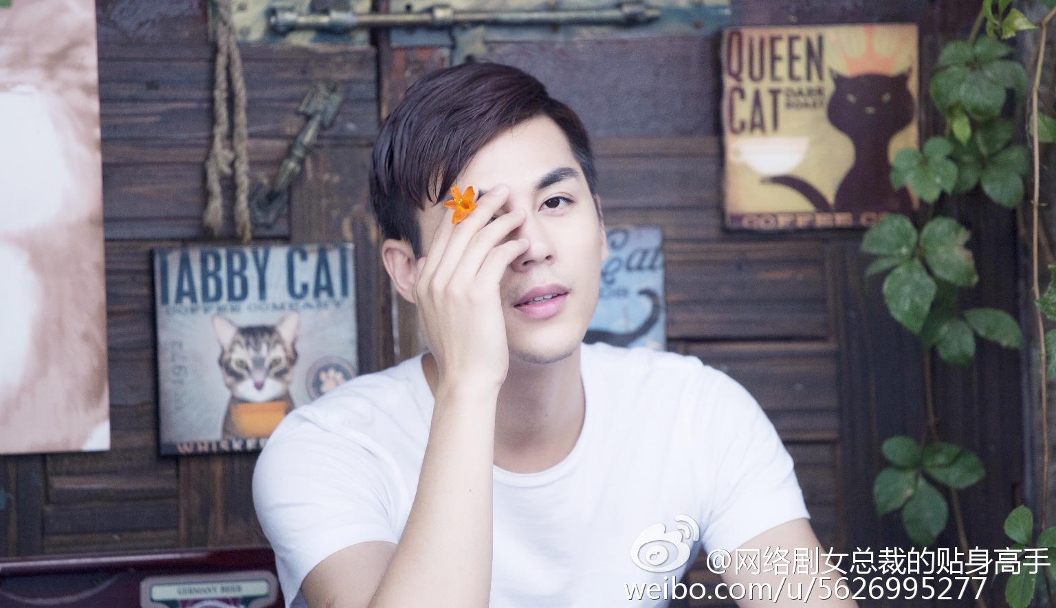 女总裁的贴身高手