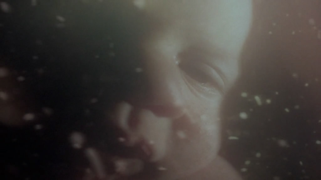 蝴蝶效应thebutterflyeffect(2004)