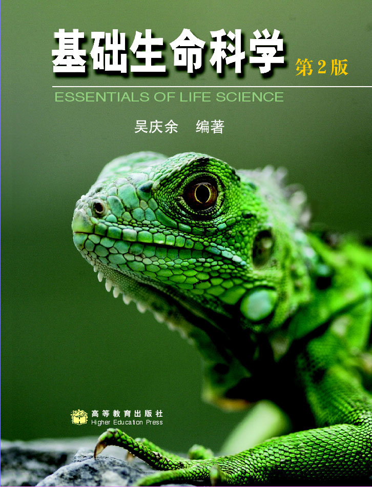 ʲôǻذ_ѧ뼼ذ_ѧذ