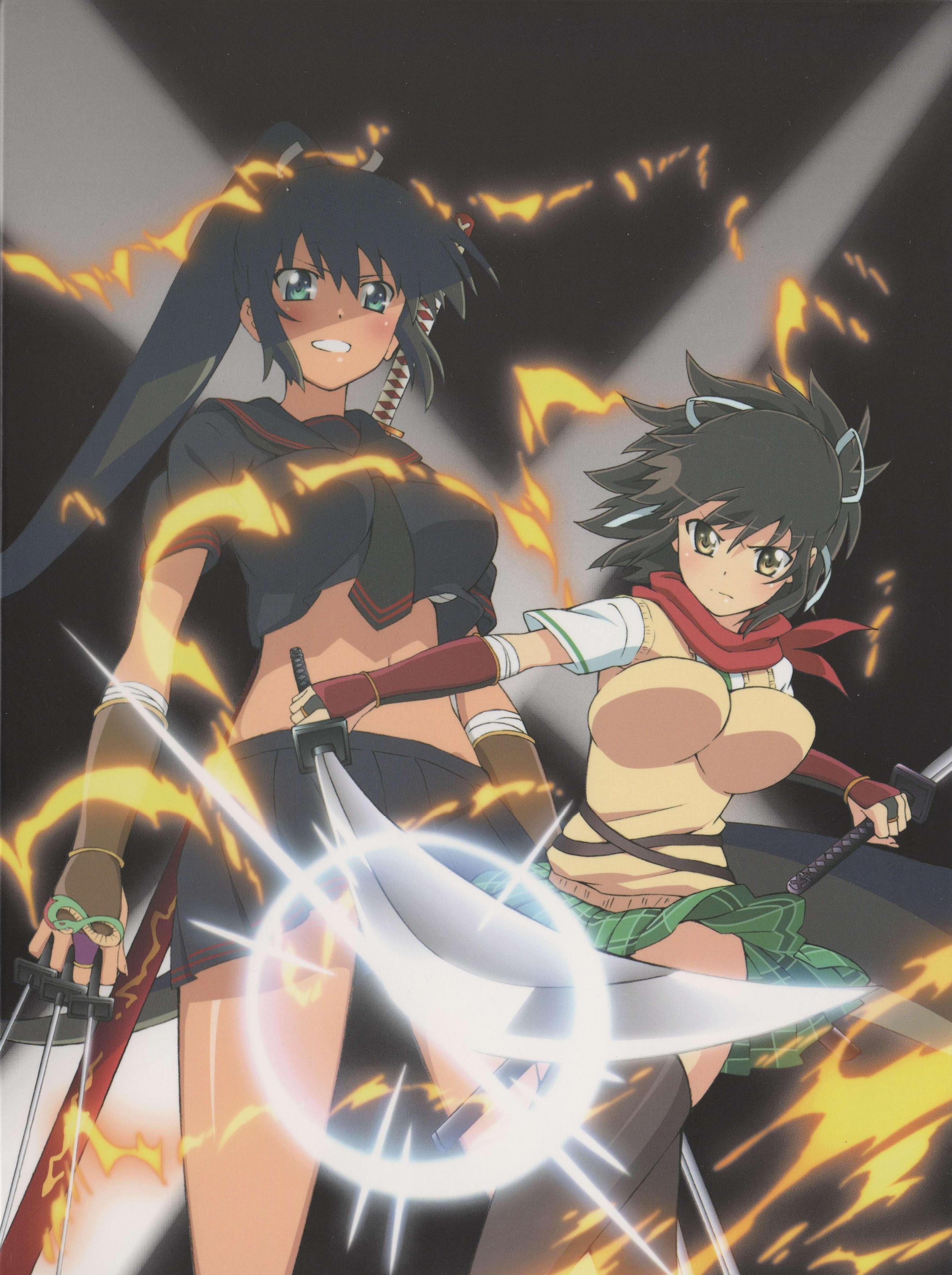 电视动画《闪乱神乐》改编自任天堂3ds游戏