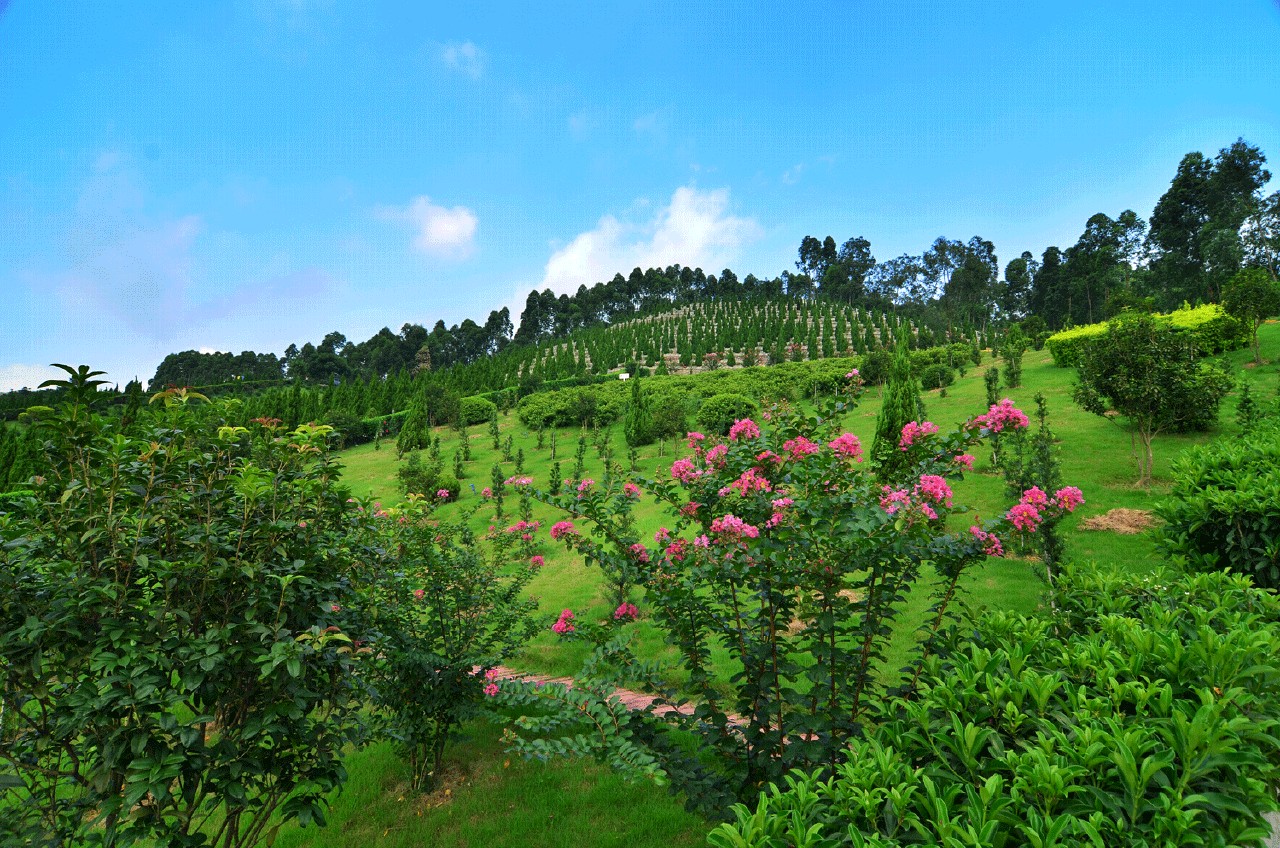 金钟永久墓园位于 a href="#" data-lemmaid="2519772">花都区 /a> a