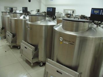 中国菌种保藏中心