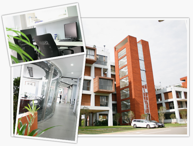 广东雨林木风计算机科技有限公司