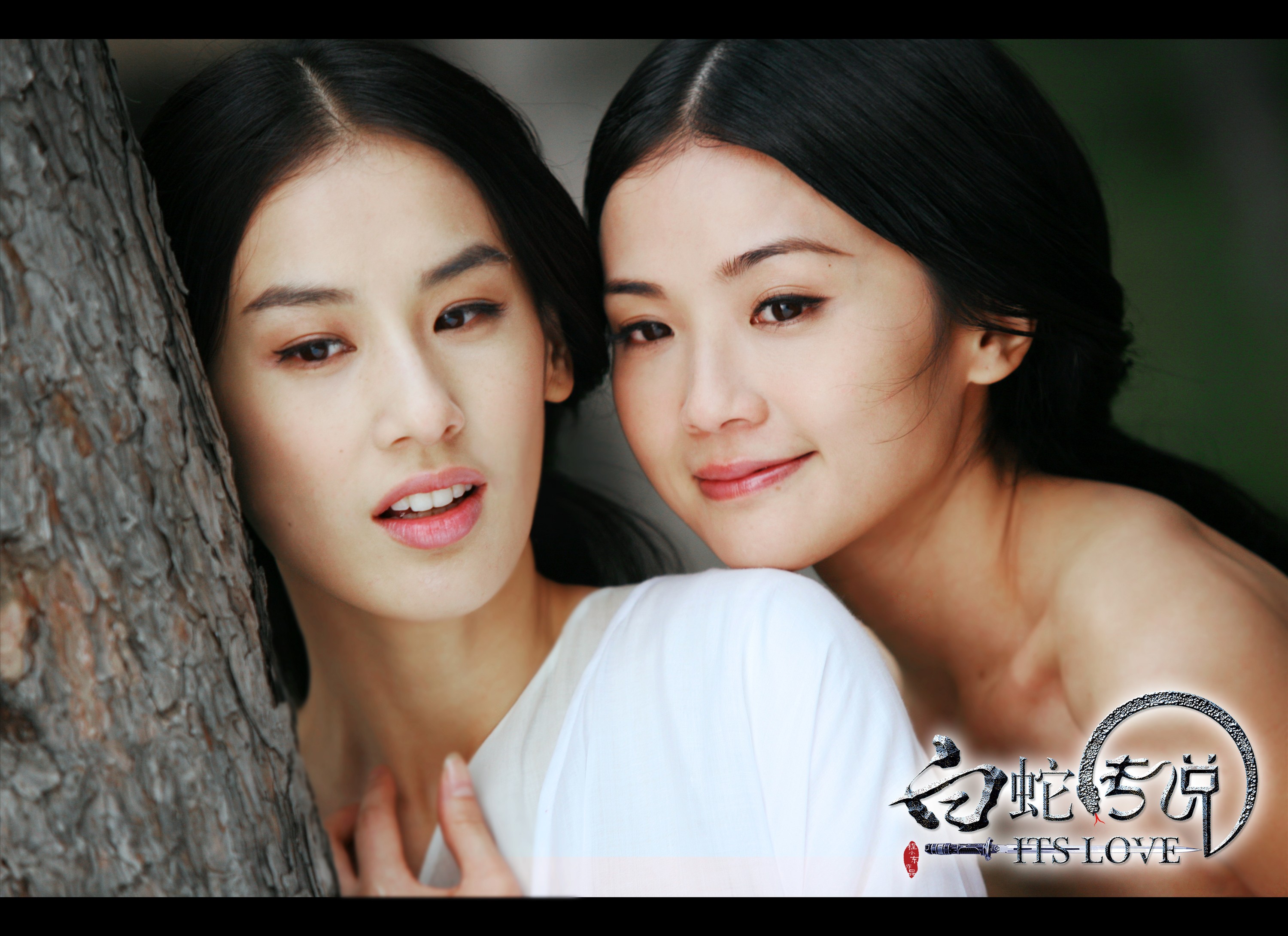  p>《白蛇传说》是中国巨力影视于2011年出品的魔幻爱情动作电影.