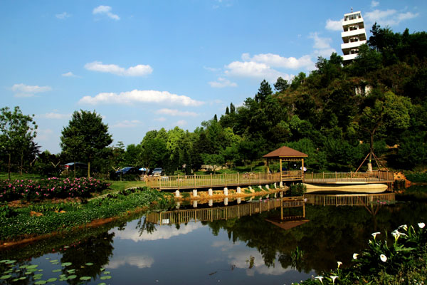 贵州龙架山国家森林公园
