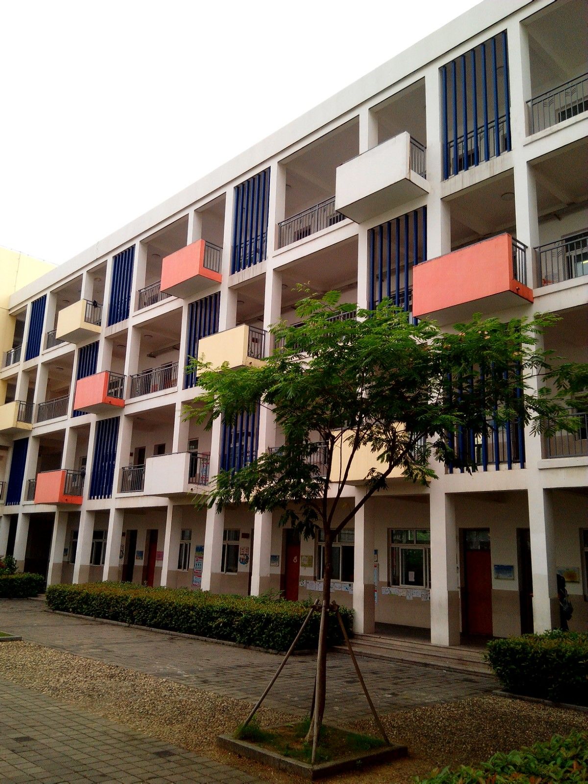 常熟世茂实验小学
