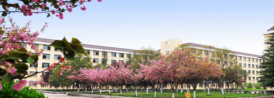  p>临沂职业学院(linyi vocational college)是经 a target="_blank"