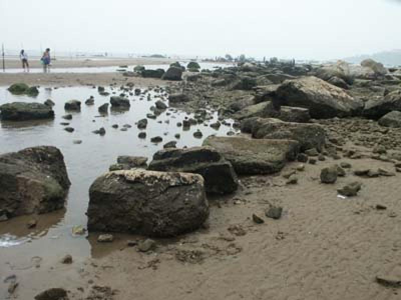 为河流入海三角洲前缘斜坡的坡脚沉积物,主要由海底沉积的粘土组成