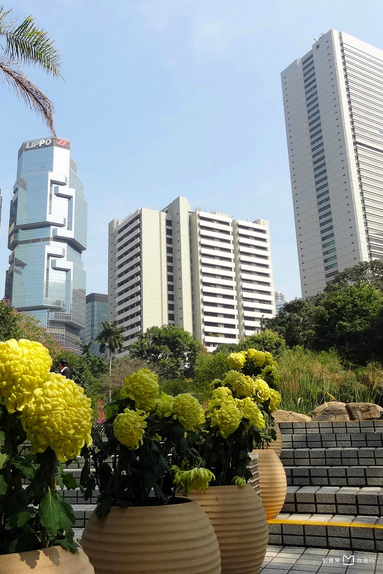 香港公园 全网资源