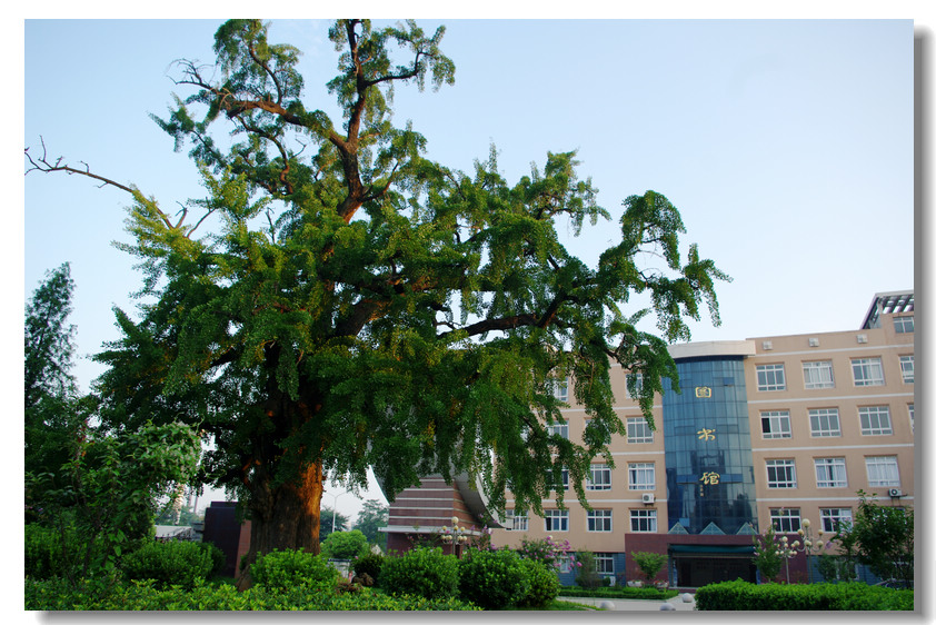 安徽凤台县凤台一中