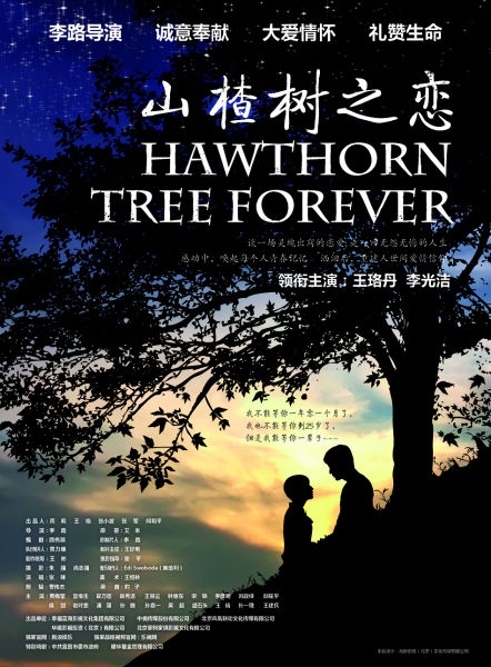  p>《山楂树之恋》改编自 a href="#" data-lemmaid="790">艾米 /a>的