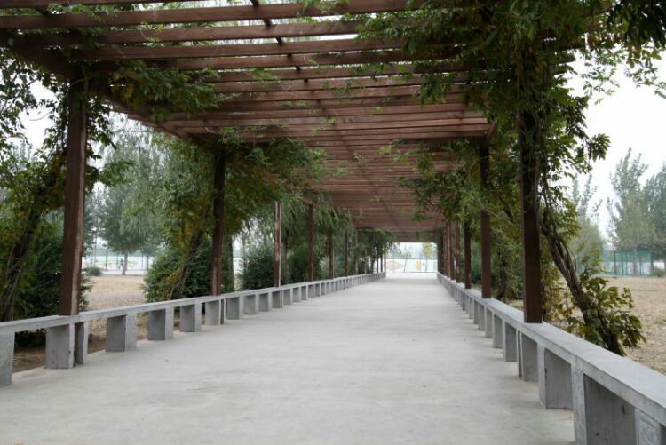 鹤壁技师学院