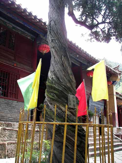 东山寺