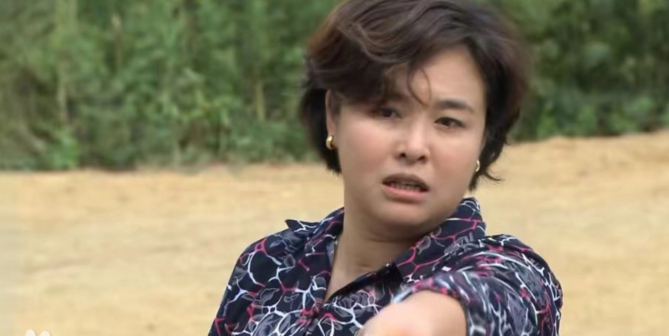 王澜（中国内地女演员）_百度百科
