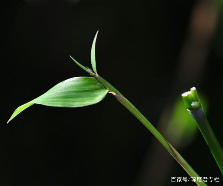 老子《道德经》：看似无用的东西，往往作用更大_百科TA说