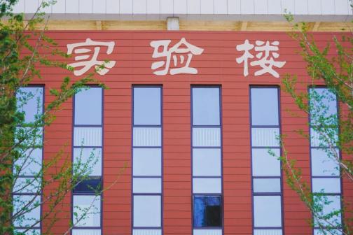 校园环境