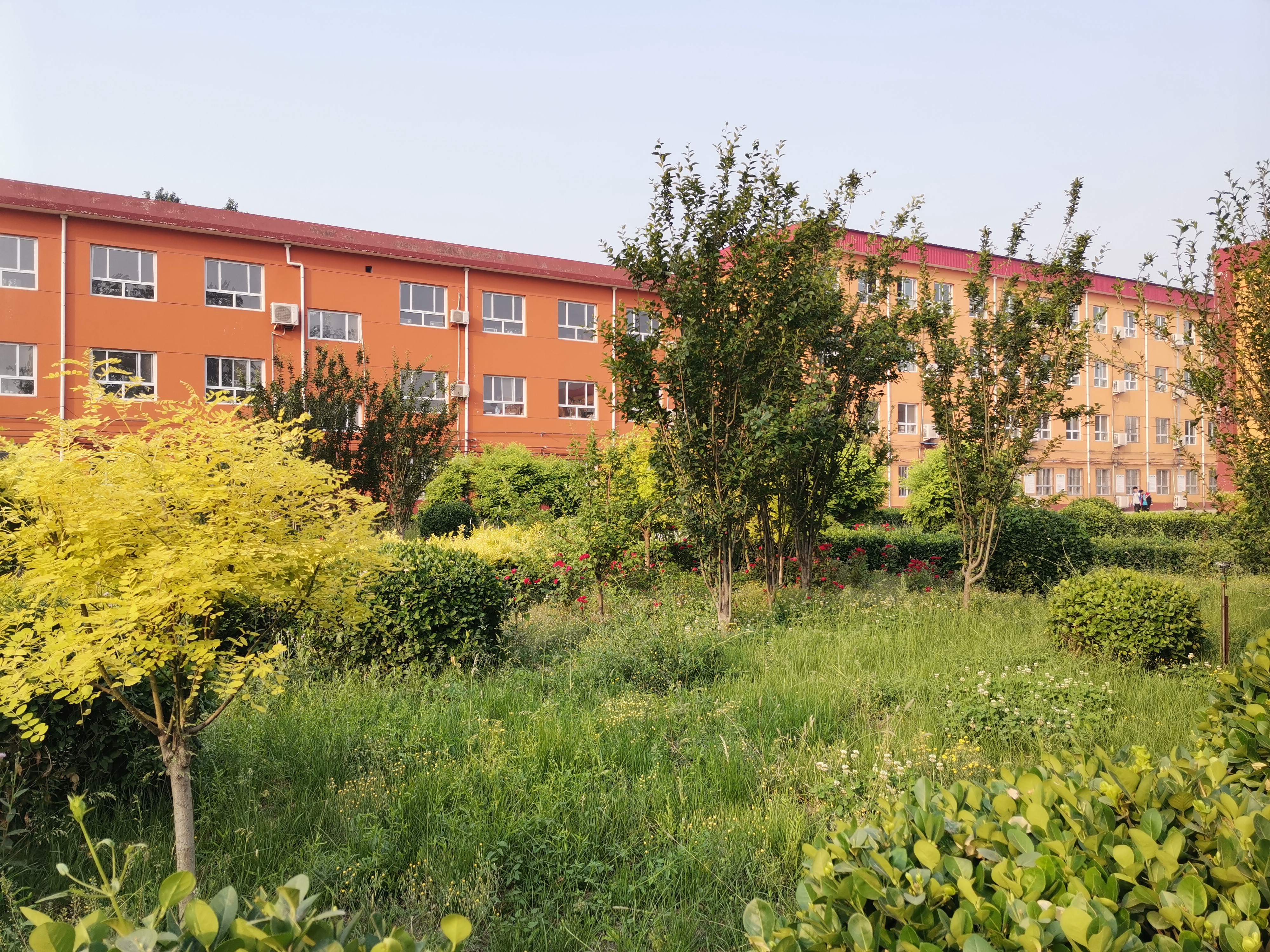 深州市旧州中学