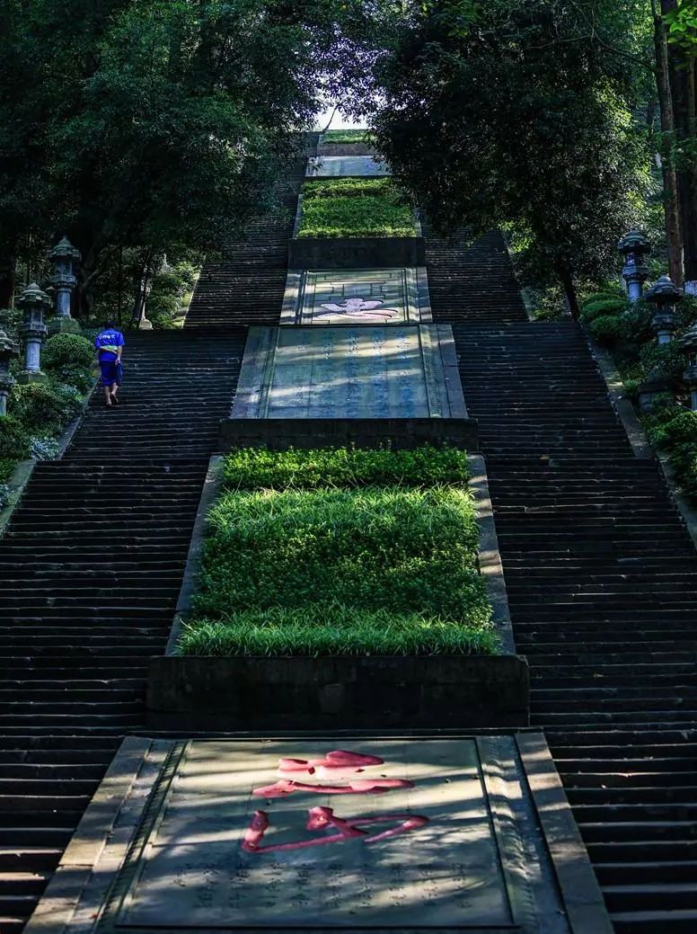 泸州市忠山公园