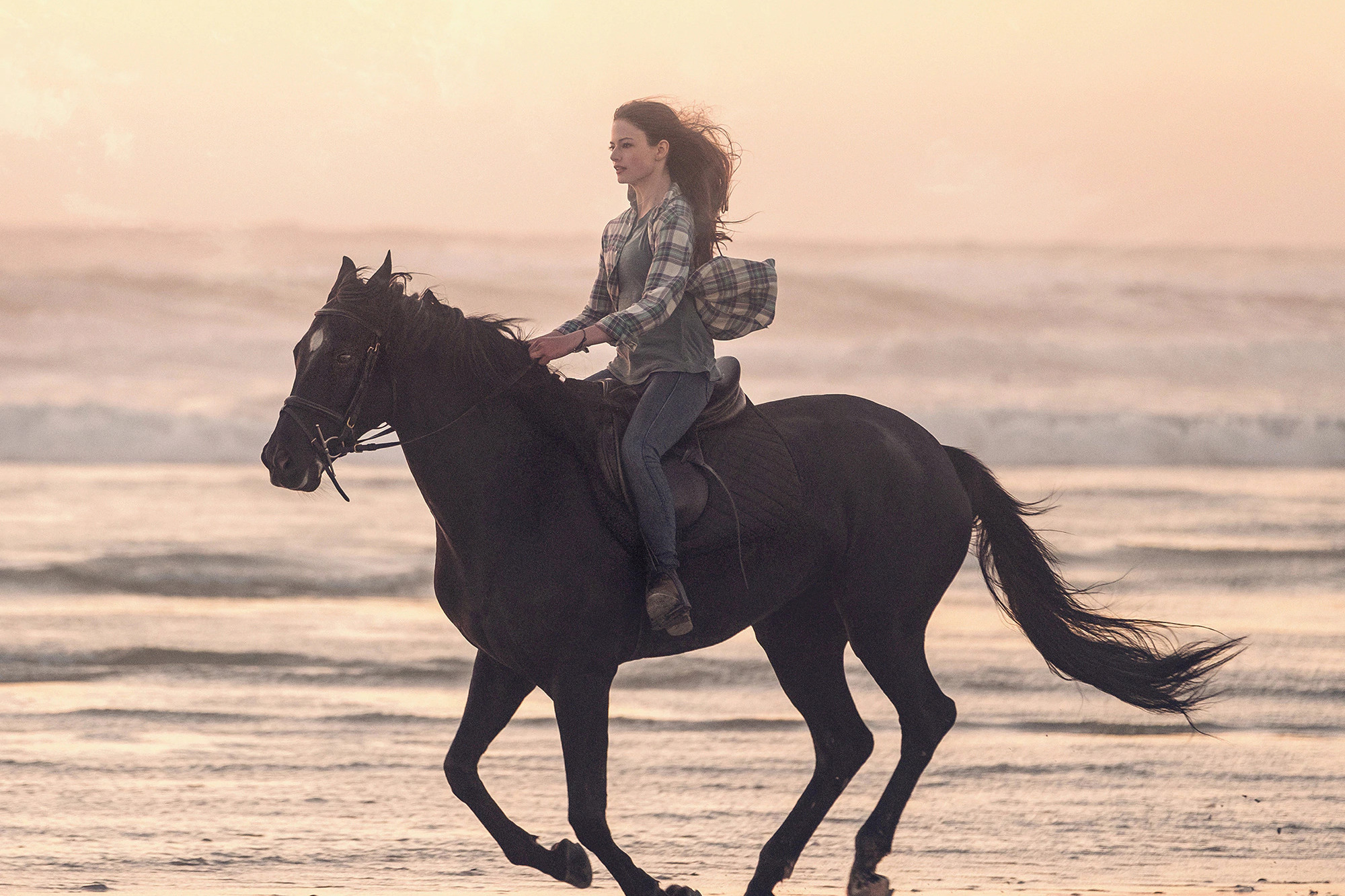  p>《黑神驹》是阿什利·阿维斯执导的剧情电影,由凯特·温丝莱特