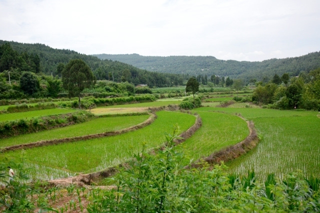 data-lemmaid="15626925">四川省 /a>广元市剑阁县,地处 a target="