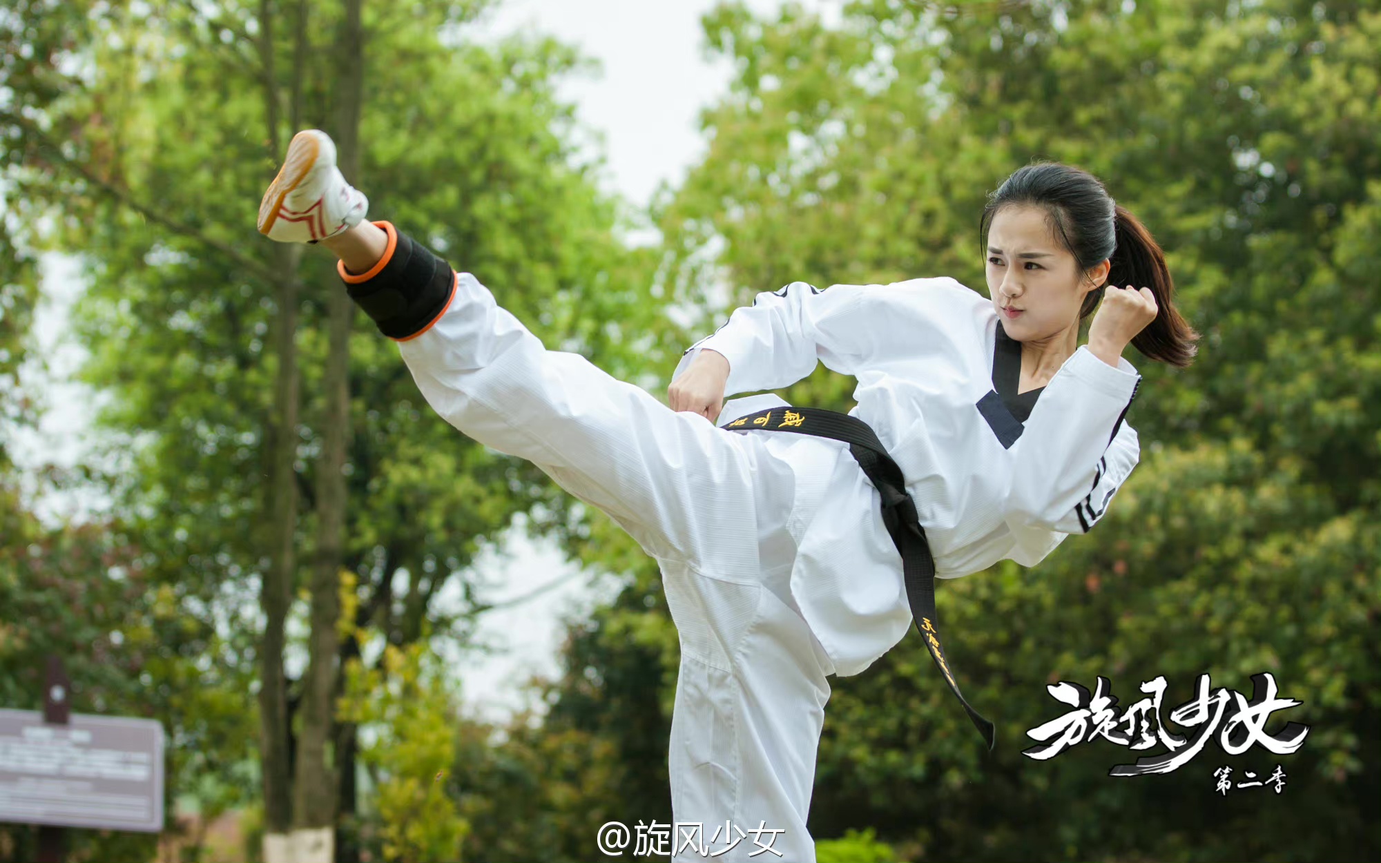 《 a target="_blank" href="/item/旋风少女第二季/18511122" data