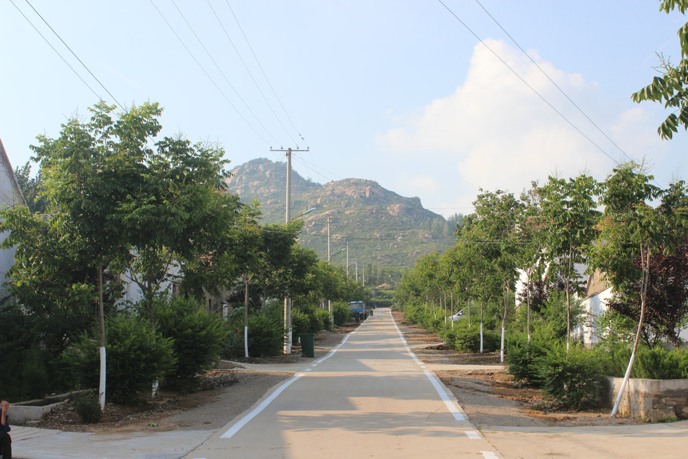  p data-id="gnvg1ntgad">丰阳镇,隶属于山东省临沂市平邑县,地处 a