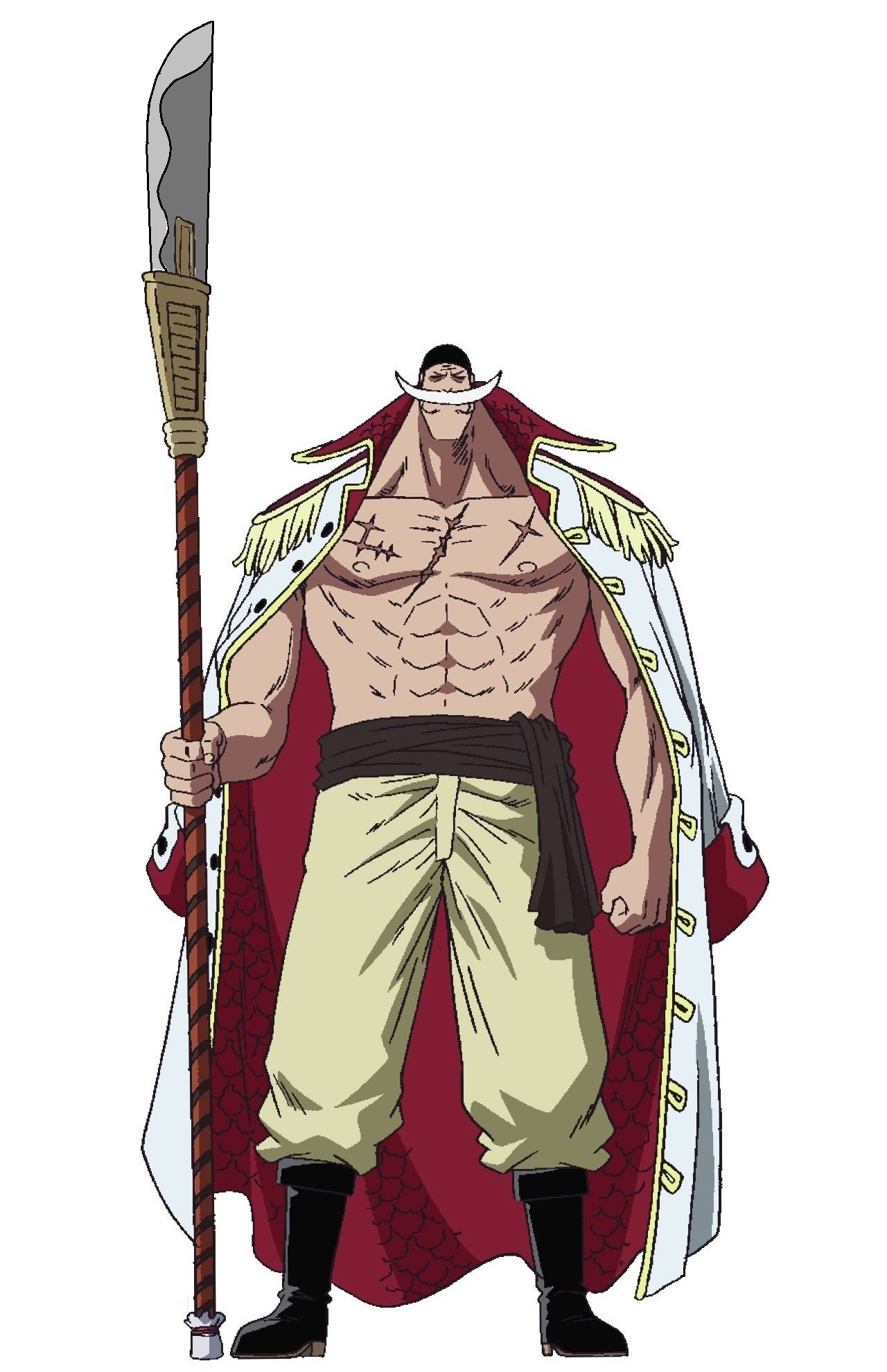  p>白胡子海贼团,日本漫画《 a target="_blank" href="/item/海贼王