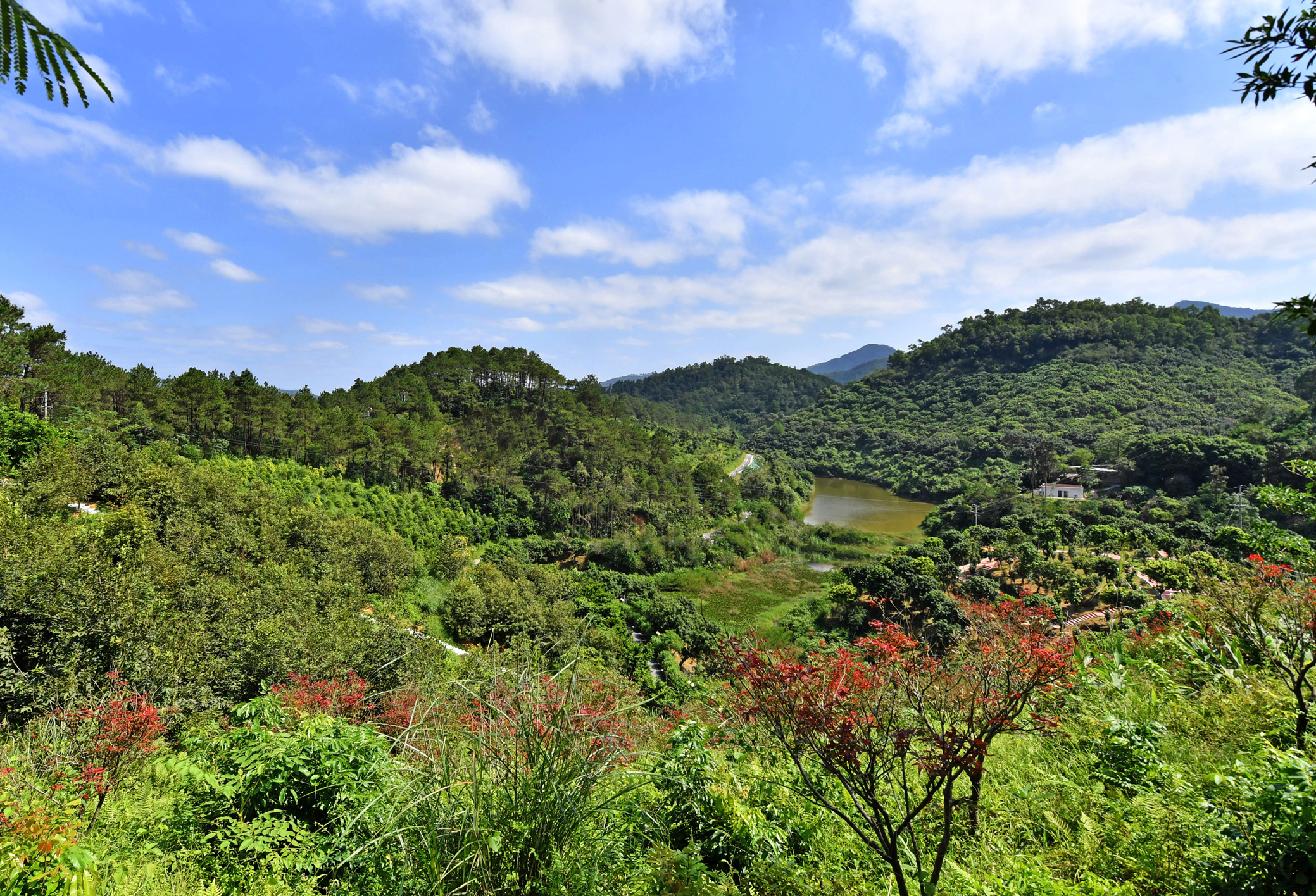 云浮市南山森林公园