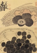 老圃画作