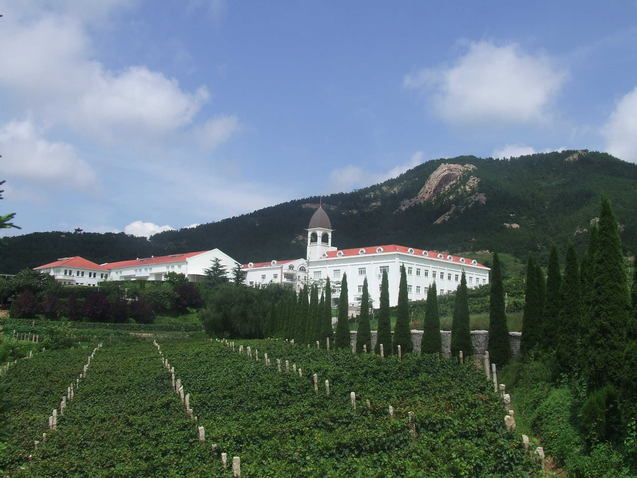 法国爱妃儿24k施华洛世奇水晶皇冠香槟