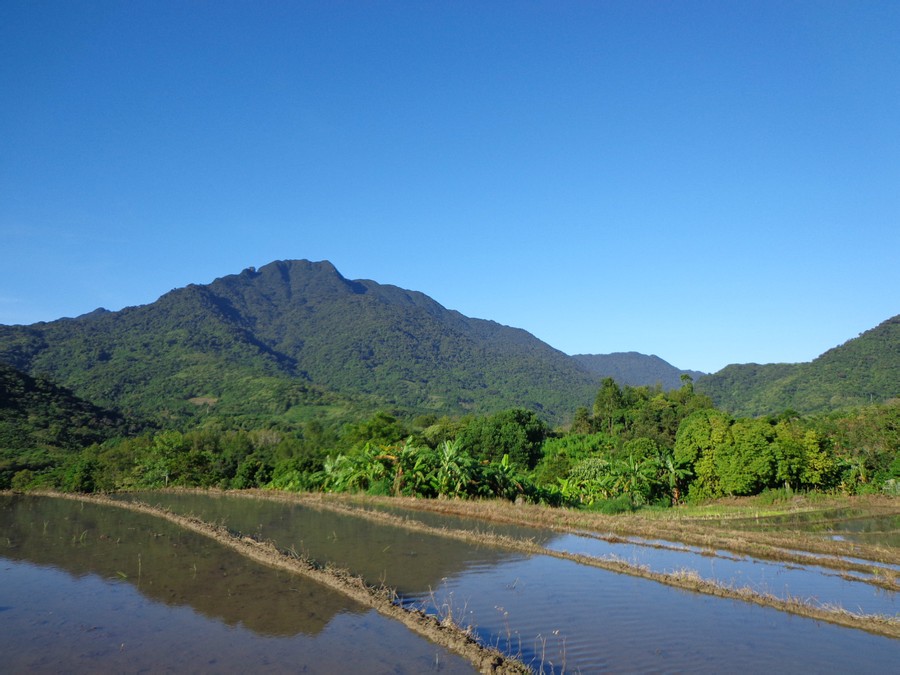 吊罗山乡崩岭村