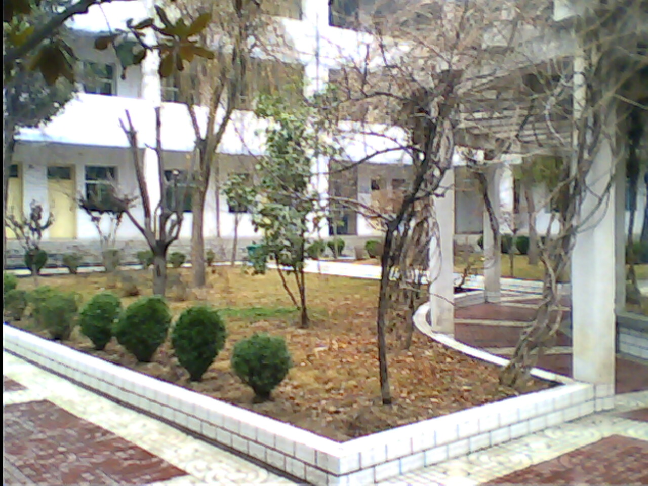  p> a target="_blank" href="/item/陕西省镇安中学/1744006" data
