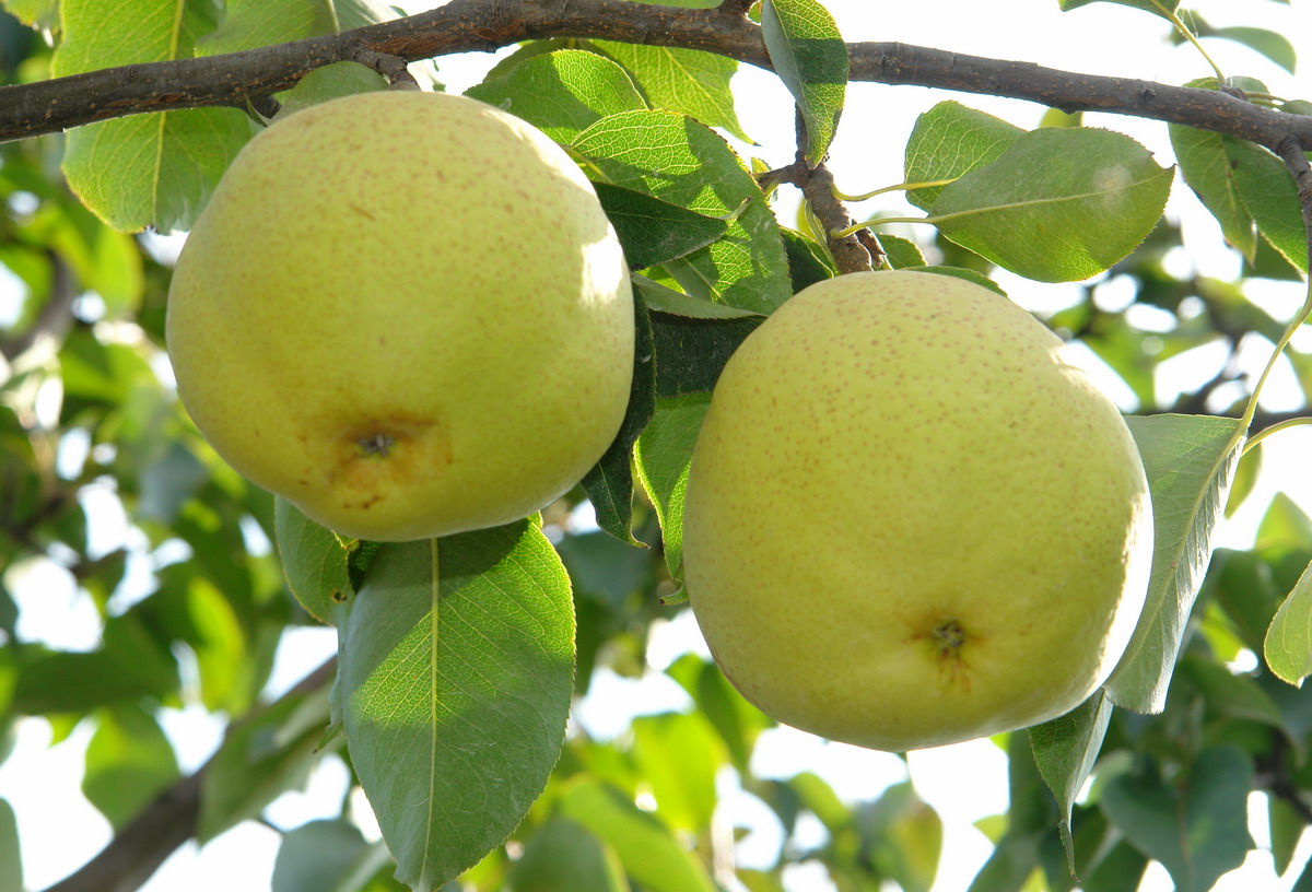 云南省昆明市昆明世博园景区