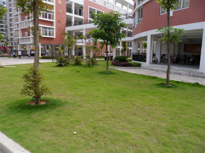  p>福清市滨江初级中学是2008年8月经福清市委,市政府批准成立的,由 a