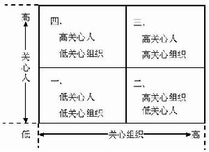 领导连续流理论