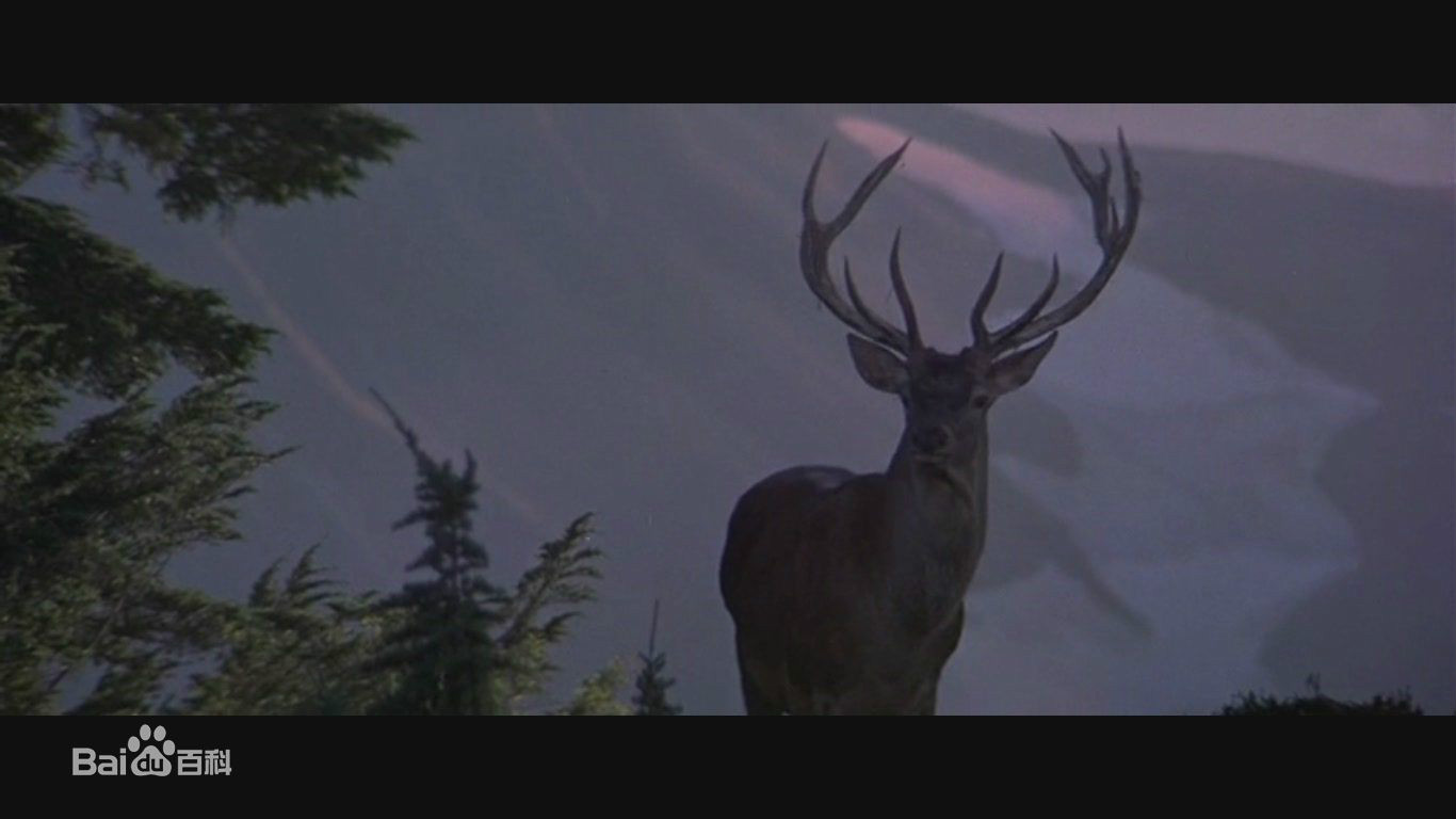 猎鹿人thedeerhunter(1978)