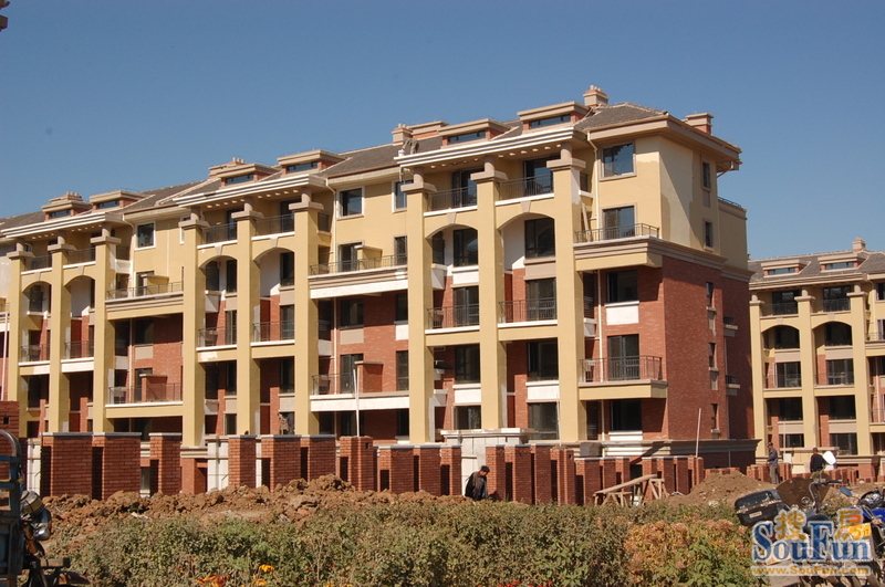 复地哥德堡森林