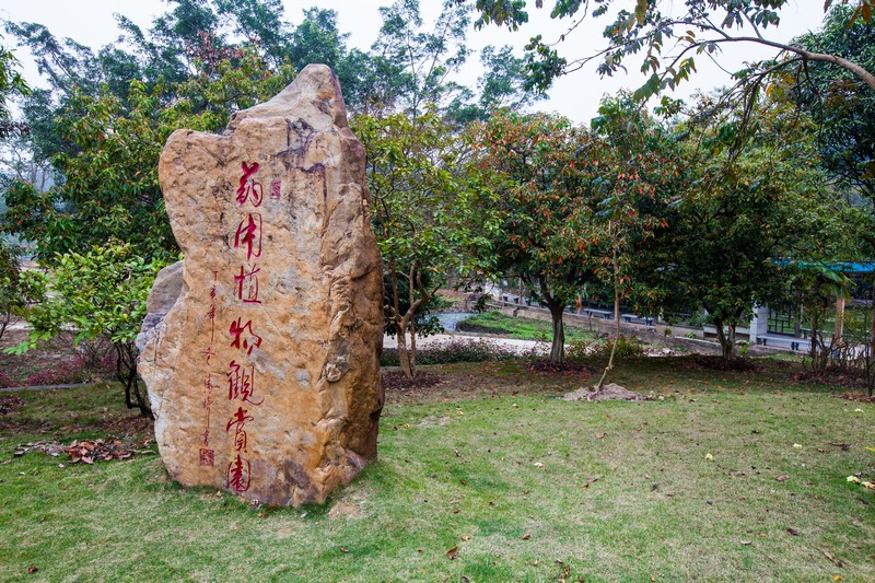  p>广西药用植物园位于 a target="_blank" href="/item/广西壮族自治