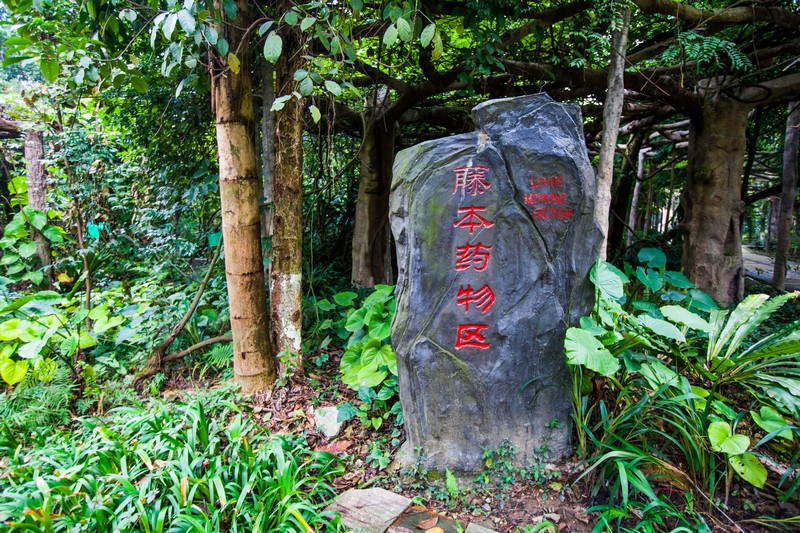  p>广西药用植物园位于 a target="_blank" href="/item/广西壮族自治