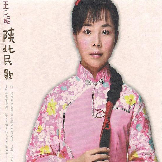 王二妮 /a>的最新专辑,里面共收录了12首根据陕北民歌重新谱曲配器的