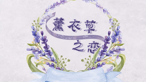 薰衣草之恋