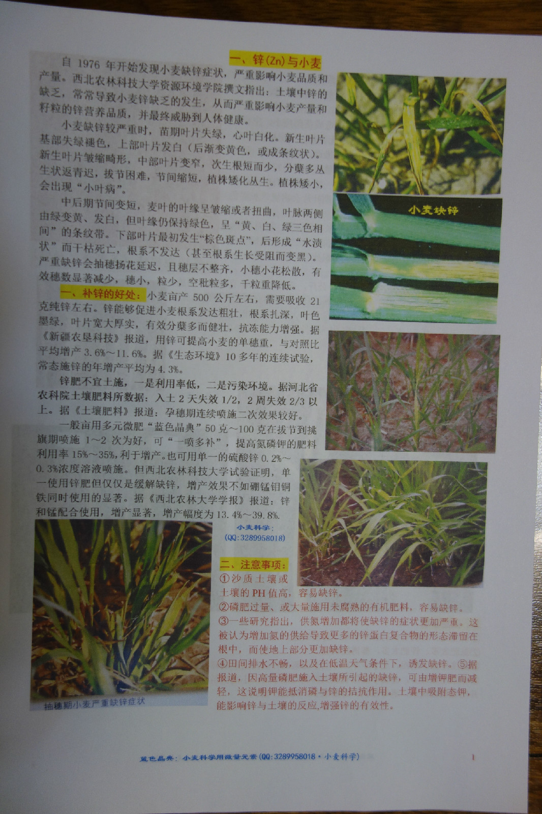 小麦缺素症