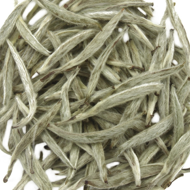 太姥银针茶