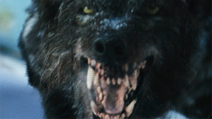  p>《人狼大战》(the grey)是由 a target="_blank" href="/item/乔