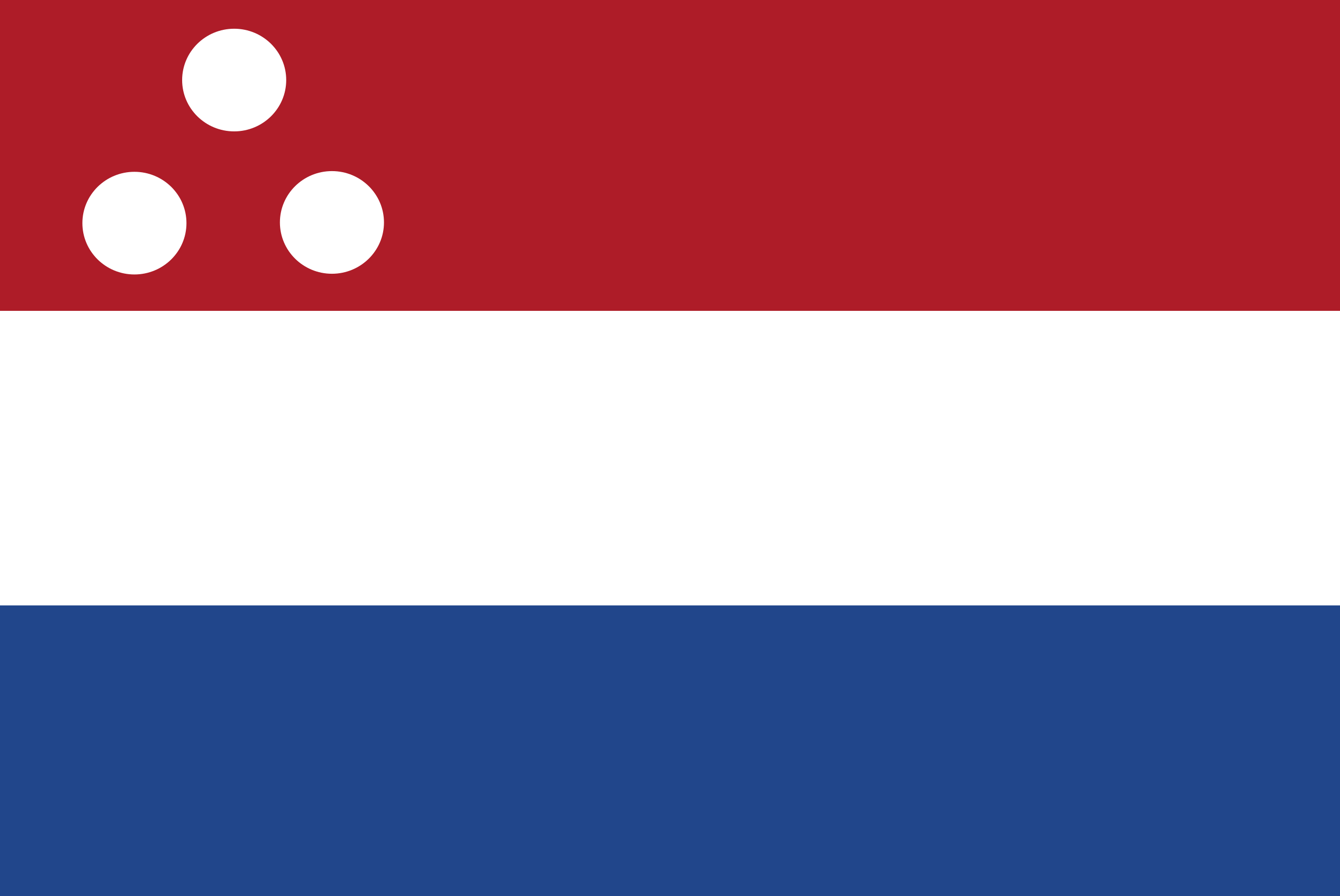 苏里南共和国国旗